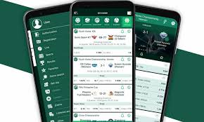 Experience the Thrills of Playing Aviator at BetWinner